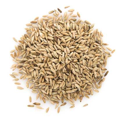 Organic Rye Grain | Rye Bread | Affordable Wholefoods