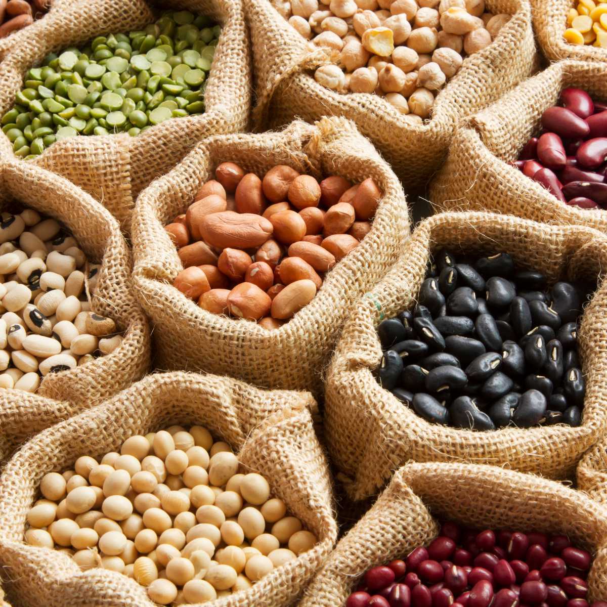 Beans and Legumes